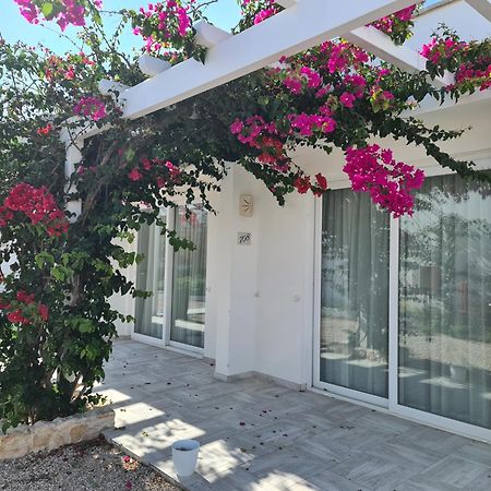 Villaggio Poseidone Beach Resort - Hotel 토레 산 지오반니 우겐토 외부 사진